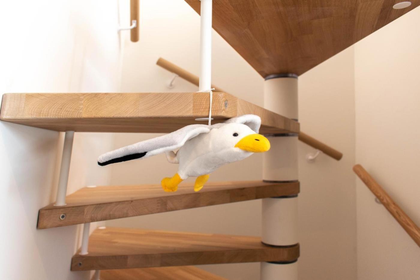 Apartment Nordic Nature Loft In Travemuende Direkt In Der Vorderreihe Inkl Privatsauna